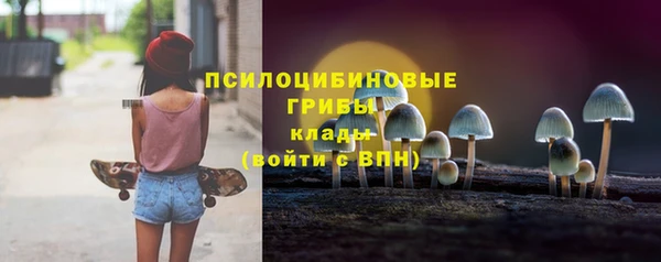 а пвп мука Алзамай