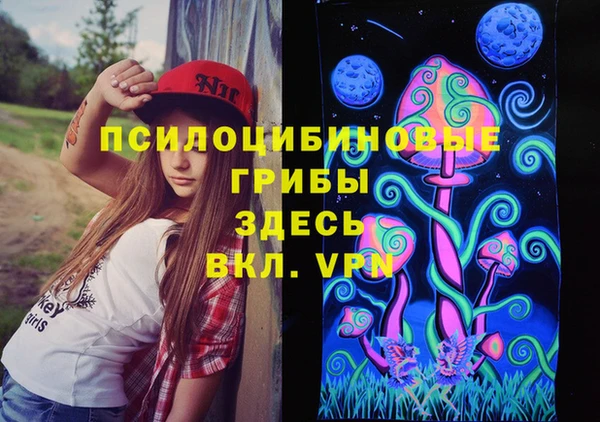а пвп мука Алзамай